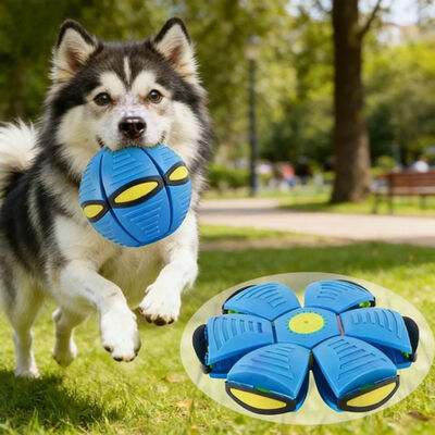 Portable Pet Dog Toy Flying Saucer Magic Ball Cartoon Style Outdoor Sports Toy Interactive Small Animal Deformation Magic Ball